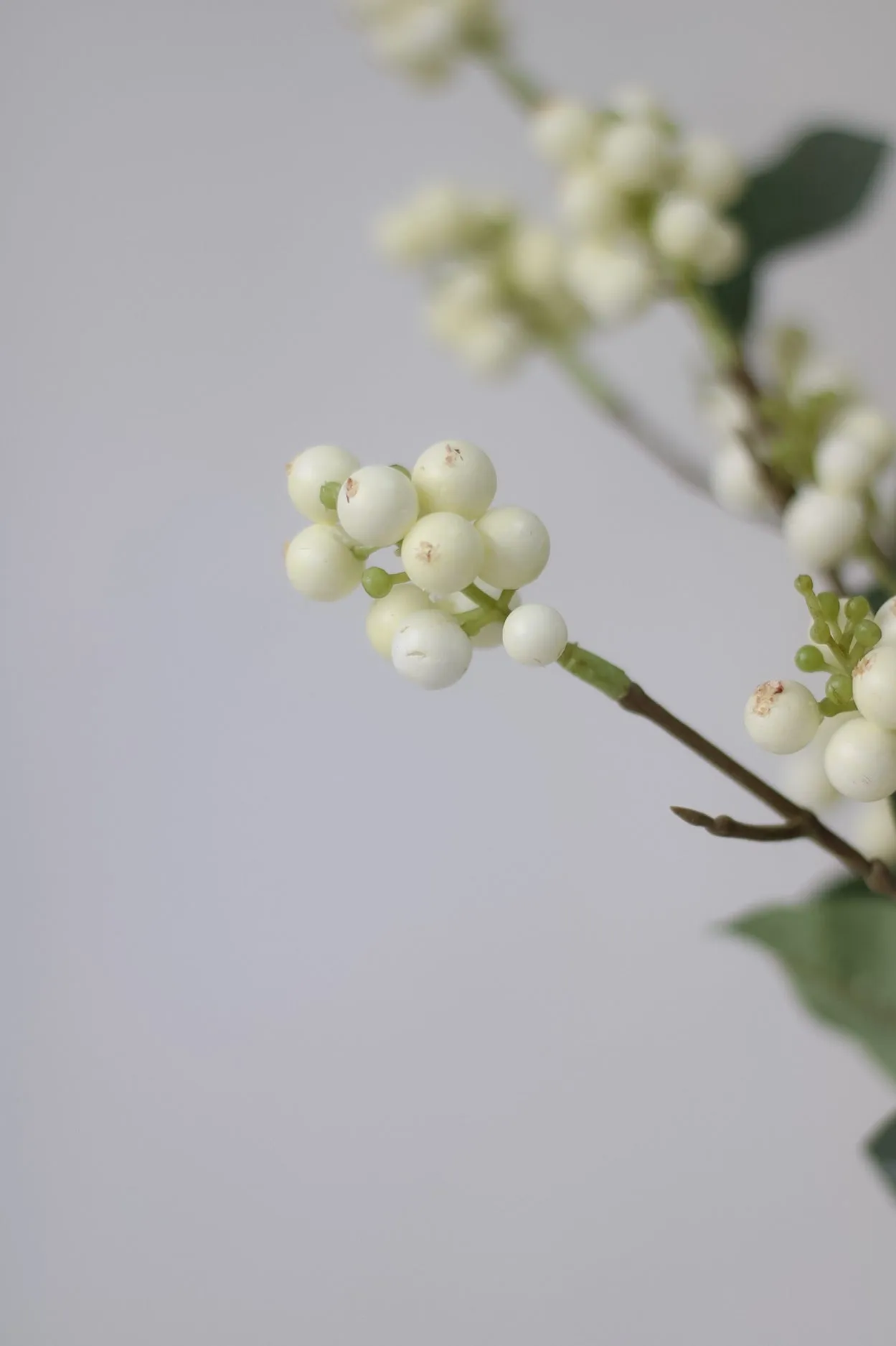 Faux White Snowberry Spray