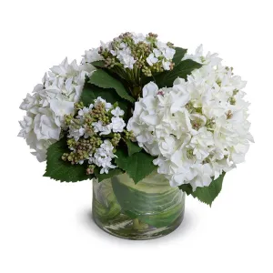 Hydrangea Bud Bouquet  in Leaf Lined Glass 13"H