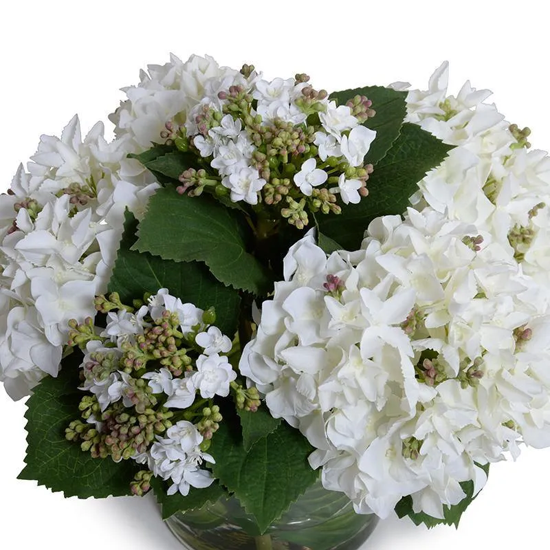 Hydrangea Bud Bouquet  in Leaf Lined Glass 13"H