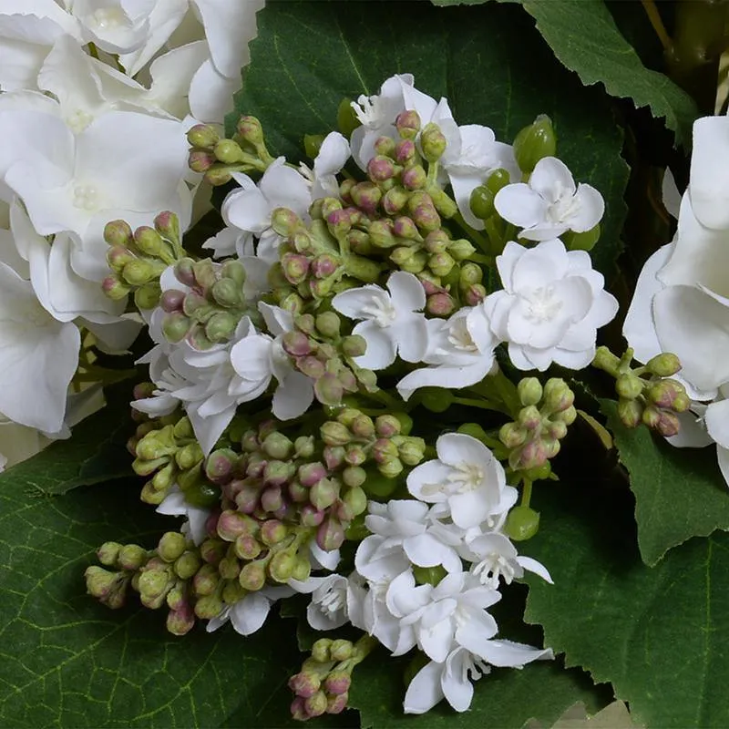 Hydrangea Bud Bouquet  in Leaf Lined Glass 13"H