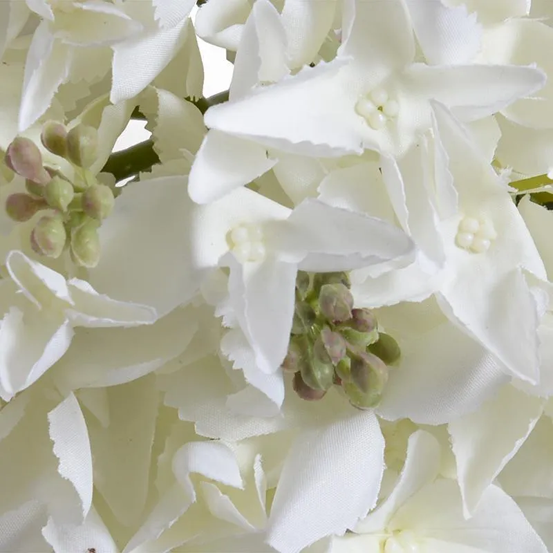 Hydrangea Bud Stem, 20" L - White