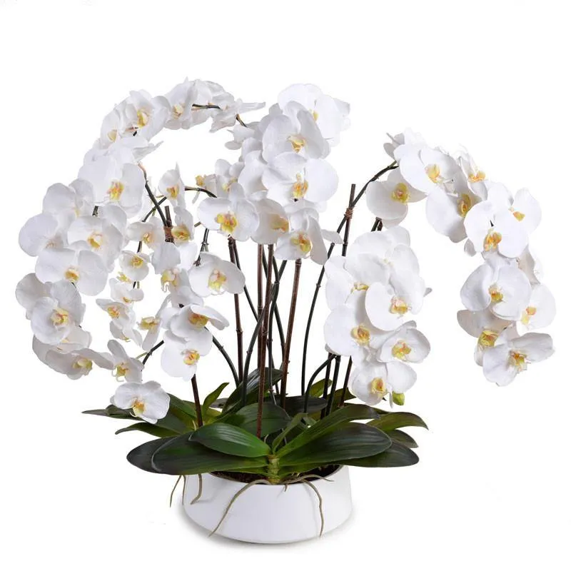 Phalaenopsis Orchid x8 in Porcelain Bowl 32"H