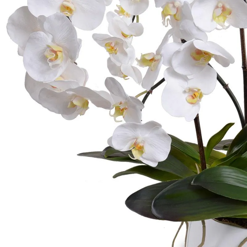 Phalaenopsis Orchid x8 in Porcelain Bowl 32"H